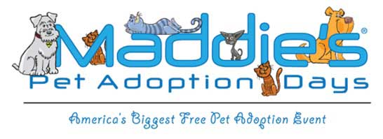 maddies pet adoption